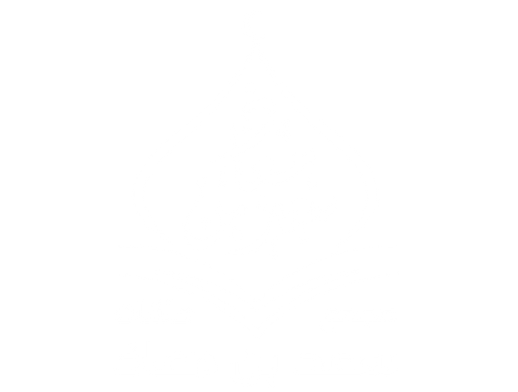 شركاء النجاح